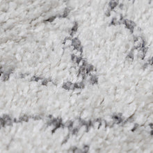 Carregar imagem no visualizador da galeria, Flintville Moroccan Shag Area Rug - Clearance
