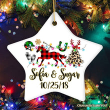 Carregar imagem no visualizador da galeria, Personalized Horse Buffalo Plaid Leopard Merry Christmas Ornament, Equestrian Gift
