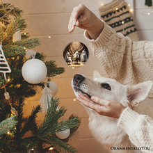 Carregar imagem no visualizador da galeria, Ghostly Triumvirate Musical Prodigies Ornament, Whimsical Horror Musicians Unique Halloween Tree Gift
