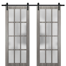 Load image into Gallery viewer, Felicia 3312 Ginger Ash Gray Double Barn Door with 12 Lites Frosted Glass | Black Rail
