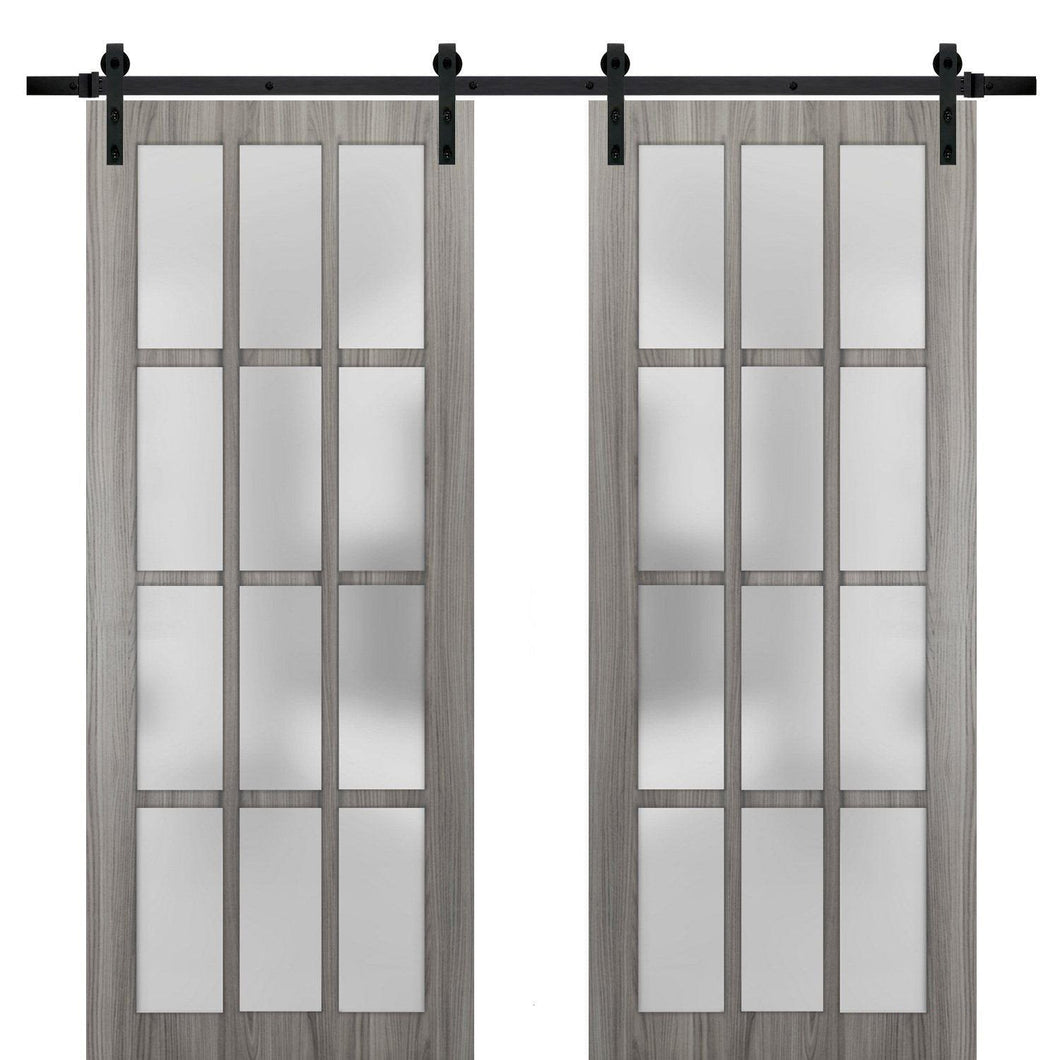 Felicia 3312 Ginger Ash Gray Double Barn Door with 12 Lites Frosted Glass | Black Rail