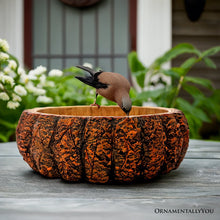 Carregar imagem no visualizador da galeria, Nature's Basin Tree Bark Themed Bowl, 6" Resin Woodlandbasin Bird Bath Decor
