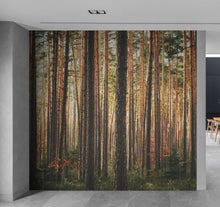 Cargar imagen en el visor de la galería, Forest Wallpaper Mural. Woodland Country Theme / Farmhouse Wall Decor. #6777
