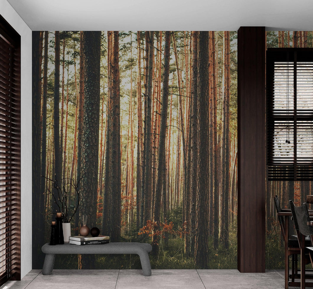 Forest Wallpaper Mural. Woodland Country Theme / Farmhouse Wall Decor. #6777