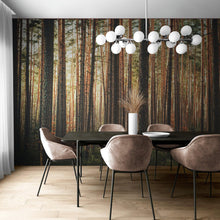 Cargar imagen en el visor de la galería, Forest Wallpaper Mural. Woodland Country Theme / Farmhouse Wall Decor. #6777
