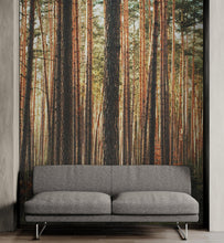 Cargar imagen en el visor de la galería, Forest Wallpaper Mural. Woodland Country Theme / Farmhouse Wall Decor. #6777
