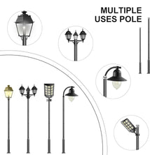 Carregar imagem no visualizador da galeria, 20Ft Commercial Grade Street/Parking/Flag Light Pole, Aluminum + Cage  1-Pack

