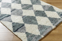 Carregar imagem no visualizador da galeria, Azaria Baklava Wool Rug
