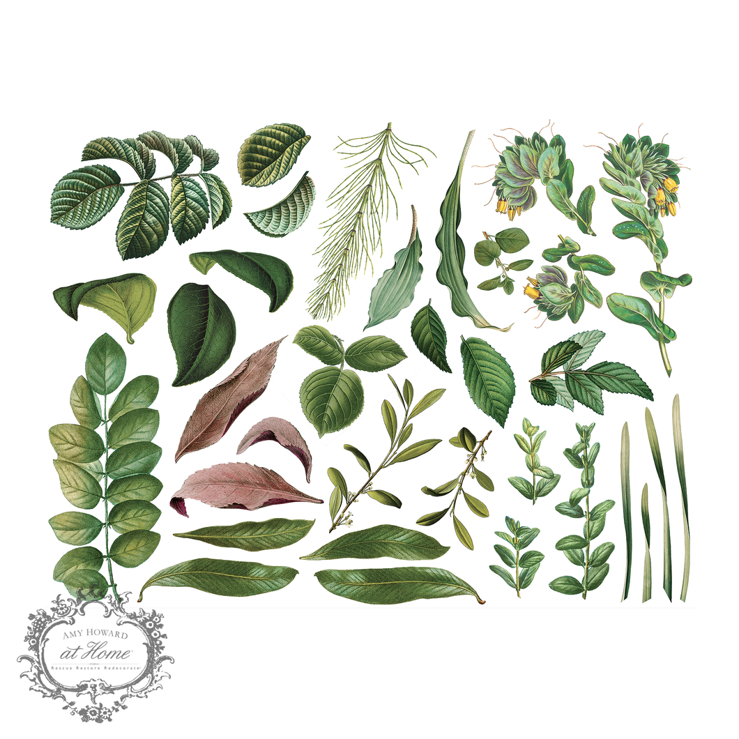 Garden Leaves - Color Transfer 16