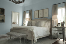 Carregar imagem no visualizador da galeria, Glacier Grey  - Manor Borne Wall Paint
