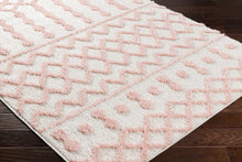 Load image into Gallery viewer, Darva Pink Plush Area Carpet
