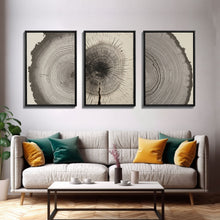 Load image into Gallery viewer, 3 Piece Triptych Framed Canvas Wall Art Set, Wood Tree Rings, Abstract Illustration Prints, Modern Art, Neutral Decor, Minimalist Art
