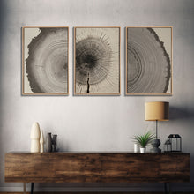 Load image into Gallery viewer, 3 Piece Triptych Framed Canvas Wall Art Set, Wood Tree Rings, Abstract Illustration Prints, Modern Art, Neutral Decor, Minimalist Art
