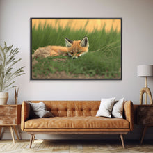 Carregar imagem no visualizador da galeria, Cute Sleeping fox Framed Canvas Wall Art, Canvas Print Decor for Home &amp; Office Decoration Canvas Ready to Hang
