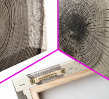 Load image into Gallery viewer, 3 Piece Triptych Framed Canvas Wall Art Set, Wood Tree Rings, Abstract Illustration Prints, Modern Art, Neutral Decor, Minimalist Art
