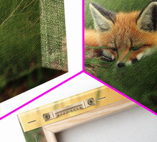 Carregar imagem no visualizador da galeria, Cute Sleeping fox Framed Canvas Wall Art, Canvas Print Decor for Home &amp; Office Decoration Canvas Ready to Hang
