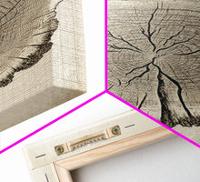 Load image into Gallery viewer, Framed Wall Art Canvas Print, Tree Cross Section, Tree Rings, Rustic Art, Farmhouse Decor, Oak Wood Tree Rings, Illustration, Gift For Him
