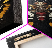 Load image into Gallery viewer, Framed Death Head Moth Canvas Print, Acherontia, Taxidermy Art, Dried Butterfly Print, Bug Wall Art Hanging Decor, Goth Art, Halloween Art
