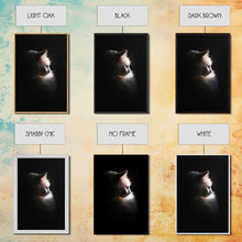 Load image into Gallery viewer, Portrait of a Beautiful Cat Sitting In The Sun, Framed Canvas Print, Cat Art, Cat Photography, Cat Wall Art
