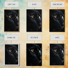 Load image into Gallery viewer, Beautiful Black Cat Portrait, Cat Photography, Framed Canvas Print, Framed Art, Halloween Witch Cat Art
