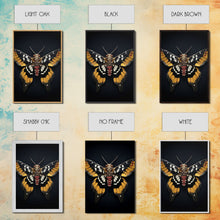 Load image into Gallery viewer, Framed Death Head Moth Canvas Print, Acherontia, Taxidermy Art, Dried Butterfly Print, Bug Wall Art Hanging Decor, Goth Art, Halloween Art
