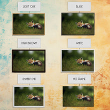 Cargar imagen en el visor de la galería, Cute Sleepy Fox Art, Animal Prints, Nature Art, Framed Canvas Print, Cute animal wall art, above sofa art
