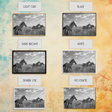 Cargar imagen en el visor de la galería, Fine Art Framed Canvas Print, Metal Art, Black &amp; White Photo of Wild Mustangs, Horse Art, American Horses Landscape / Nature / Wildlife Art
