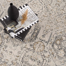 Load image into Gallery viewer, Parkerfield Area Rug
