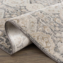 Load image into Gallery viewer, Minoa Area Rug

