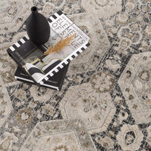 Load image into Gallery viewer, Minoa Area Rug
