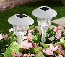 Load image into Gallery viewer, Energizer Solar Outdoor Pathway Lights Stainless Steel And Glass LED Lights- 8 Pack
