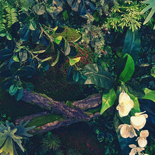 Cargar imagen en el visor de la galería, Jungle Wallpaper, Forest Greenery Botanical Wall Mural. #6741
