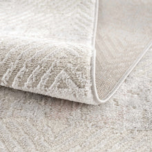 Load image into Gallery viewer, Bucky Area Rug
