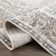 Carregar imagem no visualizador da galeria, Arias Boutique Washable Rug
