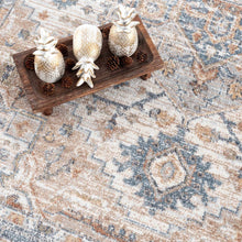 Carregar imagem no visualizador da galeria, Ezri Flat Pile Washable Rug
