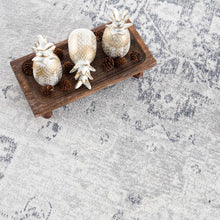Carregar imagem no visualizador da galeria, Akram Antrasit Flat Pile Washable Rug
