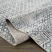 Carregar imagem no visualizador da galeria, Askeaton Washable Area Rug
