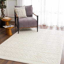 Carregar imagem no visualizador da galeria, Fadey White 3D Washable Rug
