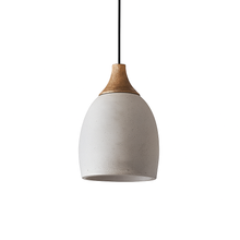 Load image into Gallery viewer, Levon Pendant Light
