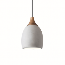 Load image into Gallery viewer, Levon Pendant Light

