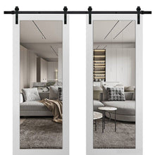 Load image into Gallery viewer, Lucia 2166 Matte White Double Barn Door with Clear Glass | Black Rail
