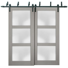 Load image into Gallery viewer, Lucia 2552 Grey Ash Double Barn Door with Frosted Glass | Black Bypass Rails
