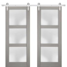 Load image into Gallery viewer, Lucia 2552 Grey Ash Double Barn Door with Frosted Glass | Silver Finish Rail
