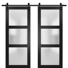 Load image into Gallery viewer, Lucia 2552 Matte Black Double Barn Door with Frosted Glass | Black Rail
