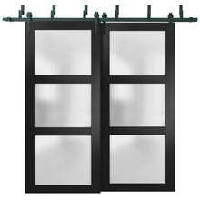 Load image into Gallery viewer, Lucia 2552 Matte Black Double Barn Door with Frosted Glass | Black Bypass Rails
