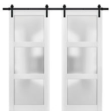 Load image into Gallery viewer, Lucia 2552 Matte White Double Barn Door with Frosted Glass | Black Rail
