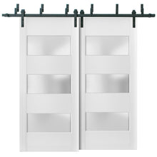 Load image into Gallery viewer, Lucia 4070 Matte White Double Barn Door with 3 Lites Frosted Glass | Black Bypass Rails
