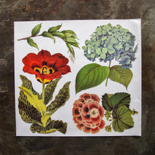 Cargar imagen en el visor de la galería, Flowers - Hydrangea - Color Transfer - 24” x 22”
