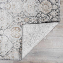 Load image into Gallery viewer, Minoa Area Rug
