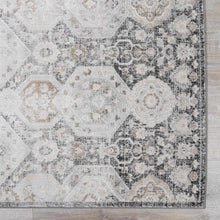 Load image into Gallery viewer, Minoa Area Rug
